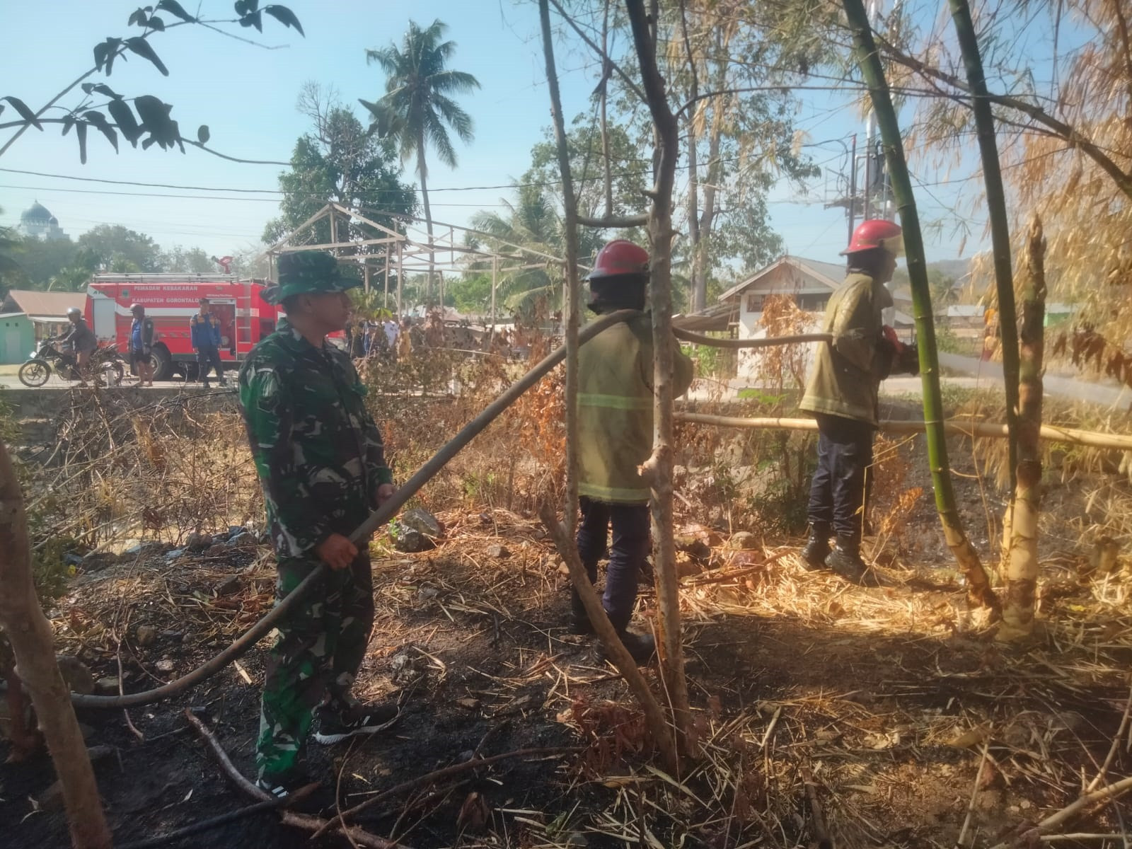 Kebakaran Lahan Melanda Permukiman Pentadio Timur, Koramil 1315-01/Telaga Turut Bantu Pemadaman Api